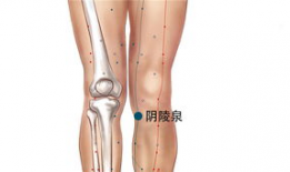阴陵泉的准确位置视频,精准掌握养生之道